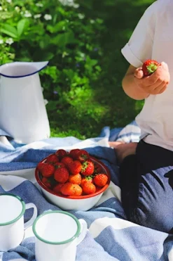 Nordwik Emaljekrus 4-pak Hvid/Grøn -KitchenTime butik 52e8f440 15cf 4498 b364 27e18c339eb6