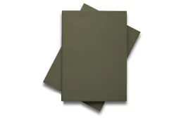 Eva Solo Green Tool DoubleUp Skærebræt Grøn -KitchenTime butik 7ede5885 0ff2 4710 b202 dfee445fb191