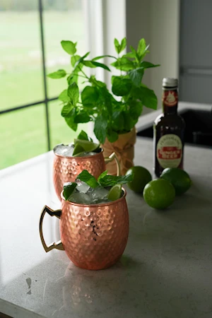 Culinary5 Moscow Mule Glas 57 Cl 4-pak 2 Culinary5 Moscow Mule Glas 57 Cl 4-pak - Billede 2