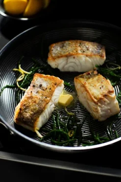 Circulon Steel Shield C Series Stegepande 22 Cm Rustfrit Stål -KitchenTime butik 9b06e342 9084 4218 8722 01ee5f789fce