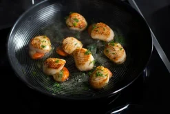 Circulon Steel Shield C Series Stegepande 22 Cm Rustfrit Stål -KitchenTime butik a57a2204 4ecc 4c4d bf49 27b8940619e4