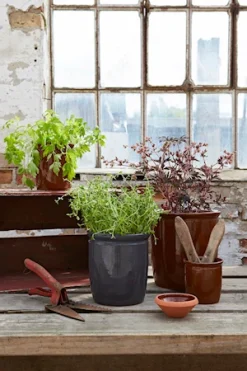 Knabstrup Keramik Syltekrukke Antracit 2 L -KitchenTime butik eddbd807 f85a 41b3 85b8 81621bdf6145